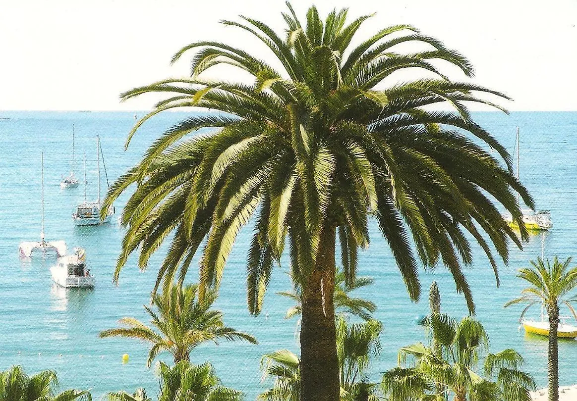 Studio Climatise. Proche Parking, Commerces Et Mer Apartment Carqueiranne